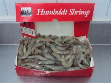 hoso_humboldt