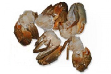 smstar-mud-crab-madagascar-cut