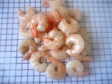smstar-shrimp_11